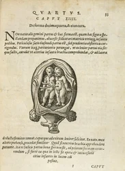 Gemelli non identici nel grembo materno, illustrazione dal capitolo 14, Libro 4 di Sulla concezione e crescita dell