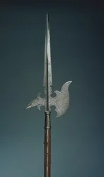 Alabarda da parata della guardia di stato dell