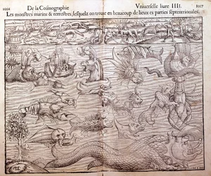 Tavola che rappresenta tutti i tipi di mostri marini e terrestri trovati nelle regioni settentrionali: Xilografia tratta dalla Cosmografia Universale di Sebastien Munster. Basilea