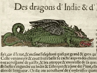 Rappresentazione di un drago dell
