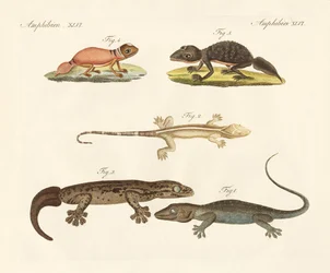 Strani dinosauri