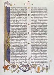 La Bibbia a 36 linee, stampata da Gutenberg