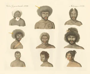 I Papuani