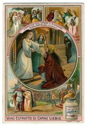 Vignetta dell