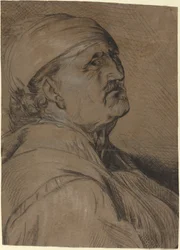 Testa di un vecchio