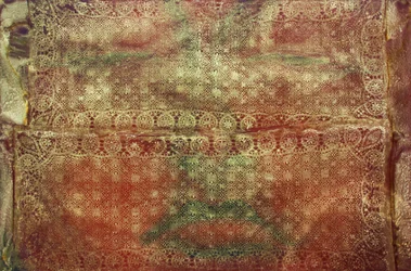 Viaggio 299, Sindone di Buddha, 2010 (acrilico su tela)