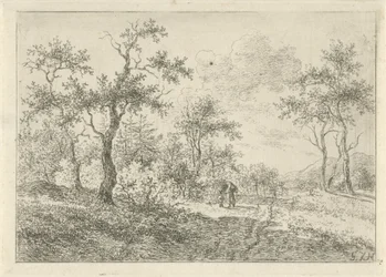 Paesaggio boscoso con una donna e un ragazzo