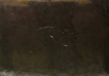 Pesci in un acquario