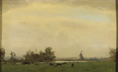 Paesaggio di prato sullo Spaarne