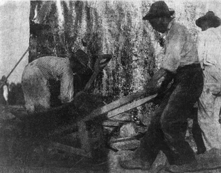 Tre operai. Fotografia che mostra tre lavoratori afroamericani al lavoro. (ca. 1900)
