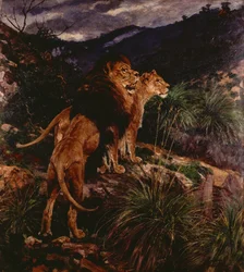 Leoni in Agguato