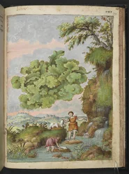Lichene e due donne che lavano vestiti o pellicce in una pozza, da "Paintings of Flora of the Roman States" di Gherardo Cibo