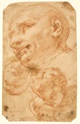 Teste di San Carlo Borromeo e due cherubini