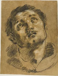 Testa di Santo Stefano: studio per il martirio di Santo Stefano