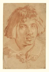 Ritratto di un giovane uomo