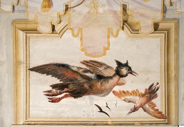 Una Coppia di Uccelli Esotici, dalla Stanza Cinese nella Foresteria, 1757