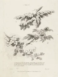 Studio di tre rami con foglie (1er Cahier de paysage)