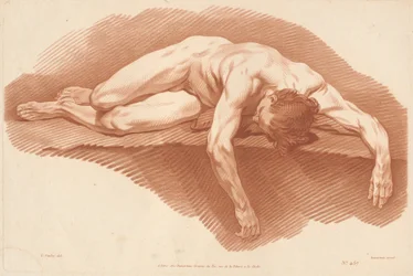 Accademia (457)