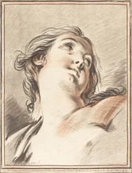 Testa di donna che guarda in alto