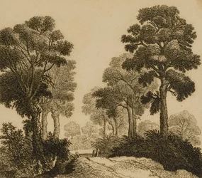 Paesaggio