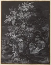 Scena della foresta
