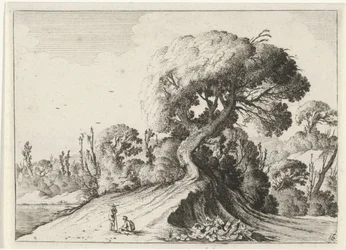 Due uomini davanti a un grande albero