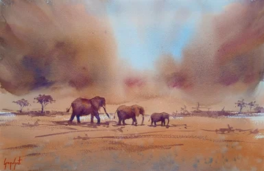 Viaggio di un elefante africano