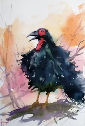 Uccello nero che chiama