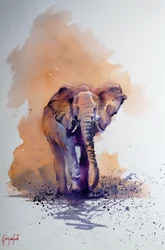 Il maestoso elefante africano