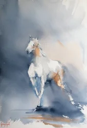 Il movimento maestoso del cavallo