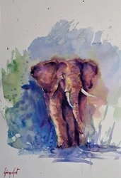 Maestoso elefante ad acquerello