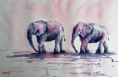 La marcia degli elefanti rosa