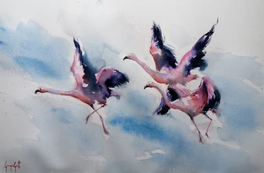 Fenicotteri rosa in volo