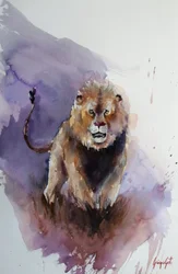 Un leone dall