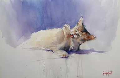 Il dolce gatto che si lecca