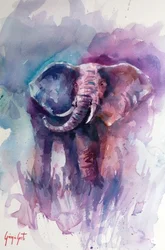 Il sogno dell