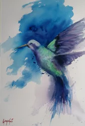 Il volo vivace del colibrì