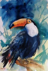 Un vivace tucano tropicale