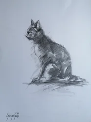 Il gatto vigile color carbone