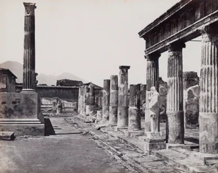 Colonnato orientale del Tempio di Venere Pompeiiana a Pompei