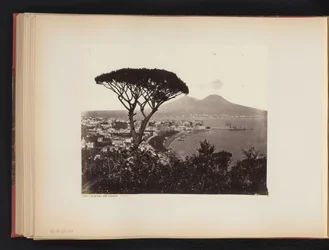 Veduta di Napoli, Italia, con un pino in primo piano