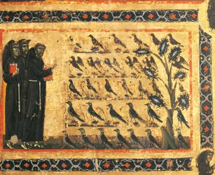 Storie di san Francesco: san Francesco predica agli uccelli, affresco di Giotto (1267-1337), circa 1325. Cappella Bardi di Vernio, Basilica di Santa Croce, Firenze, Italia