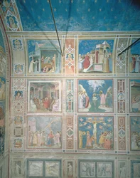 Vista degli affreschi sulla parete sinistra, c.1303-05 (post-restauro)