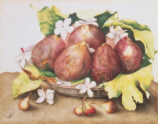 Fichi su foglie