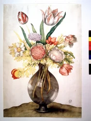 Papaveri, tulipani e peonia