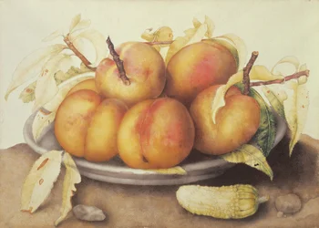 Piatto di pesche con un sottaceto