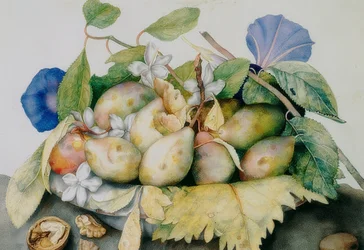 Piatto con prugne, gelsomino e noci