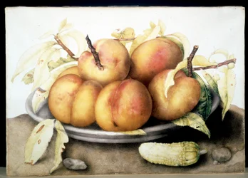 Immagine sconosciuta
