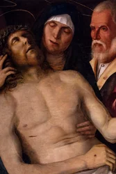 Compianto di Cristo, 1502 circa (tecnica mista su legno di pioppo)
