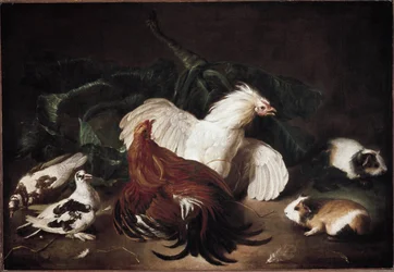 Natura morta con animali, galline e criceti